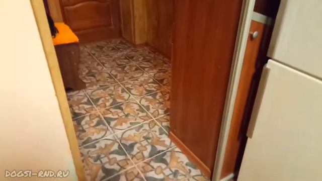 Средство от всех проблем! Рецепт Жорика