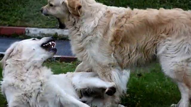 Ничего на свете лучше нету) смотреть онлайн