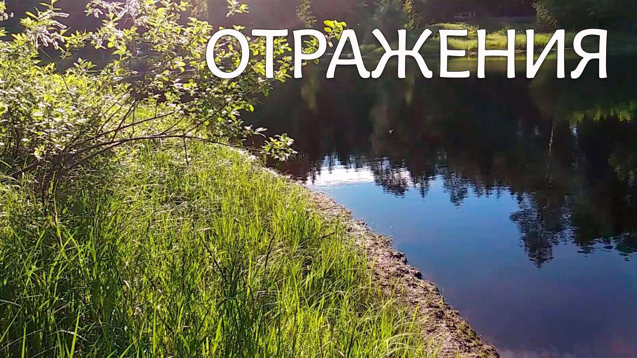 Отражения. Лесное озеро