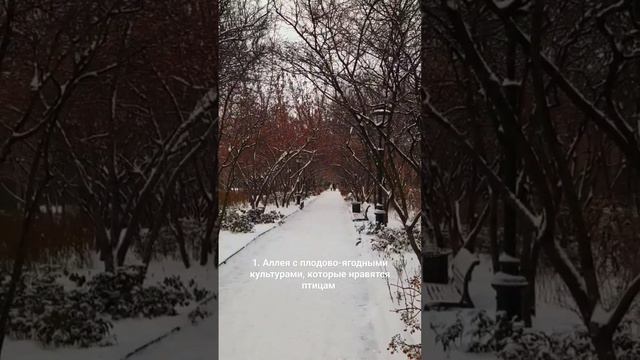 Остров "Новая Голландия". Часть 2 смотреть онлайн