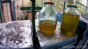 Куда "сплавляю"подсолнечный мёд.
