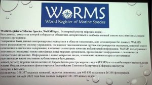 Актуализация систематического положения хрящевых и костных рыб из коллекции океанариума Акватика