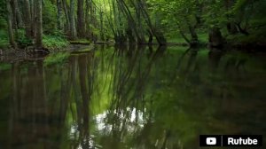 СТОЯТЬ НА КОЛЕНЯХ ЕЁ НАУЧИЛА МАТЬ. Истории из жизни. Аудио рассказы