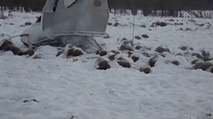 Снегоход Промысловик по кочкам