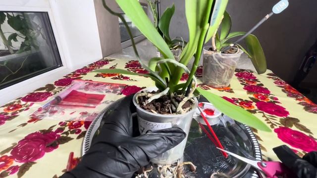 Передышка??♀️ от сложных разборов) вторую уценку легко приводим в порядок?