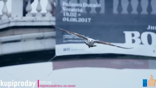 5 товаров с алиэкспресс: которые все покупают