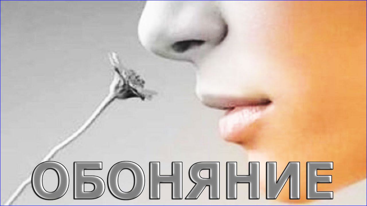 Обоняние. (stopsoznanie.ru)