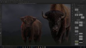 Angry Buffalo | Photoshop CC 2015.5 Manipulation Tutorial