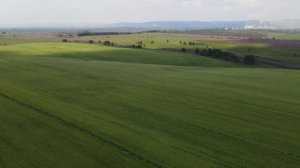 Поля и луга. Верх-Подобас, Берензас, ГРЭС.