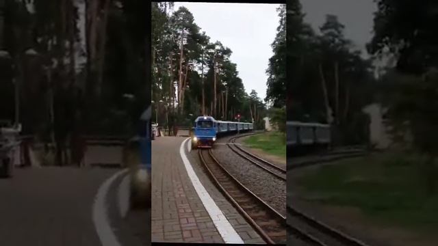 кто то сказал Комарово? 😏 ДЖД в Кратово это лучше чем Комарово! #рекомендации #ржд #МДЖД #поезд смотреть онлайн