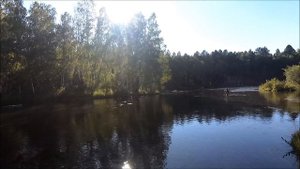 Поиски рыбы по Сибирским таёжным рекам - Ловля карася на фидер - Ловля хариуса на верховой настрой