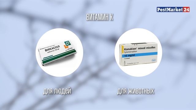 Как самостоятельно избавиться от грызунов | Обзор средств от грызунов | Видеоинструкция