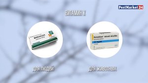 Как самостоятельно избавиться от грызунов | Обзор средств от грызунов | Видеоинструкция