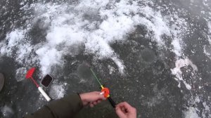 ЗИМНЯЯ РЫБАЛКА В ЯНВАРЕ на реке, ловля плотвы.густеры на мормышку.