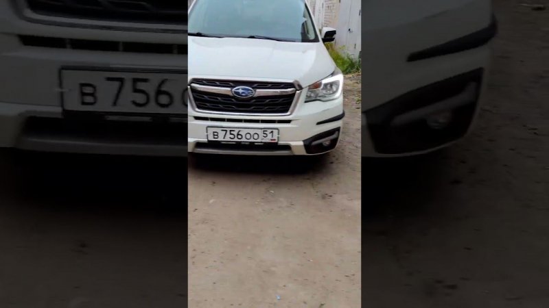 ИСПРАВИЛИ Галогенный Свет в SUBARU FORESTER