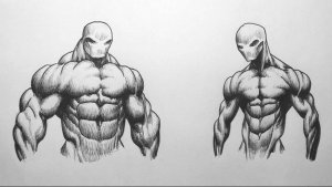 "Программа тренировок для бодибилдинга 4 раза в неделю"