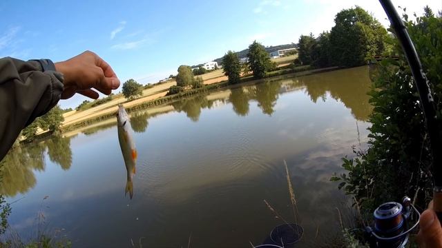 Вспомнить лето! Ловим белую рыбу в июне! 4К смотреть онлайн