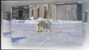 Ямал СПГ в Сабетте