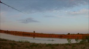 Язь. Рыба язь видео. Ловля язя на спиннинг летом видео 2015