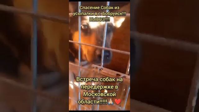 Вывоз состоялся - Бобруйск!!