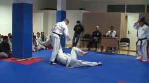 Hapkido DAN BONG - HarmonicMotion Aigaleo