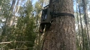 Фотоловушка - Подключаем мощный гелевый аккумулятор и став...