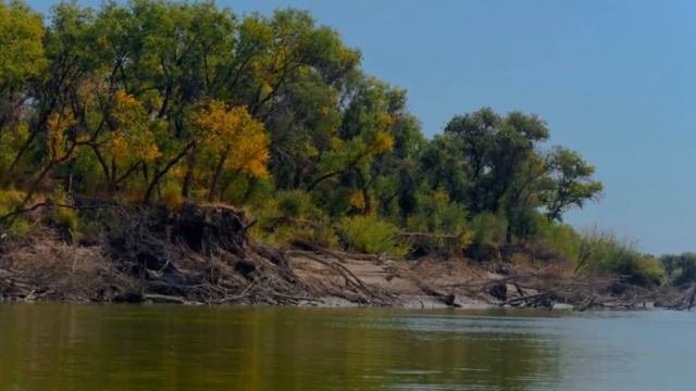 СЫРДАРЬЯ. Syrdarya River