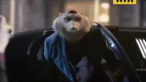 хомка семечки хомка реклама семечек вiн iм потрiбен семечки