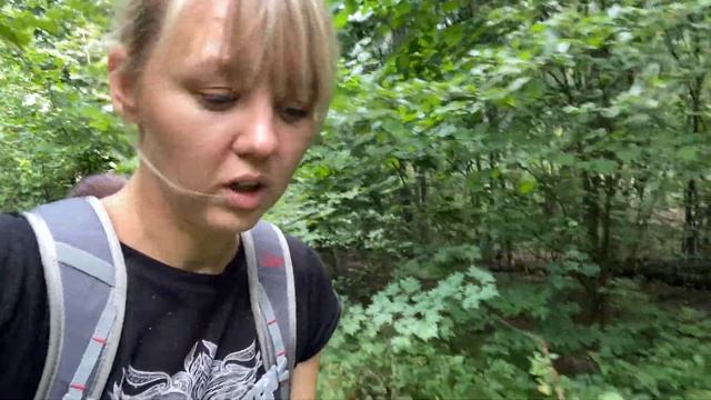 В поиске орехов.Лещина или лесной орех.Гомольшанские леса. смотреть онлайн