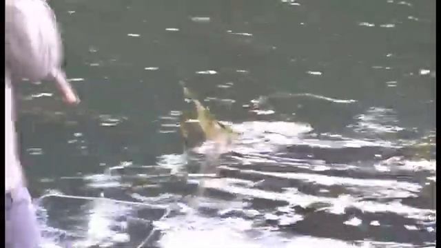 Рыболовный клуб Поплавок смотреть онлайн