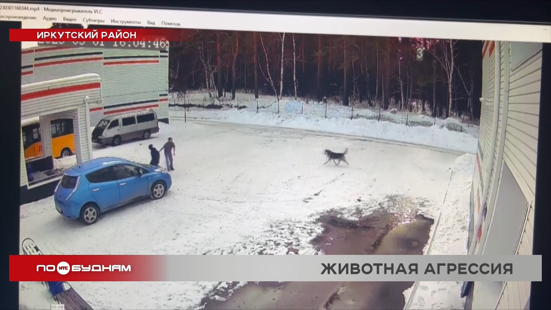 9-летний мальчик серьёзно пострадал от укусов собаки в Пивоварихе