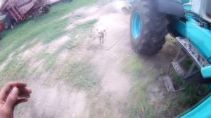 работа окончена. запустили двигатель СМД-60 ,+ тест в поле