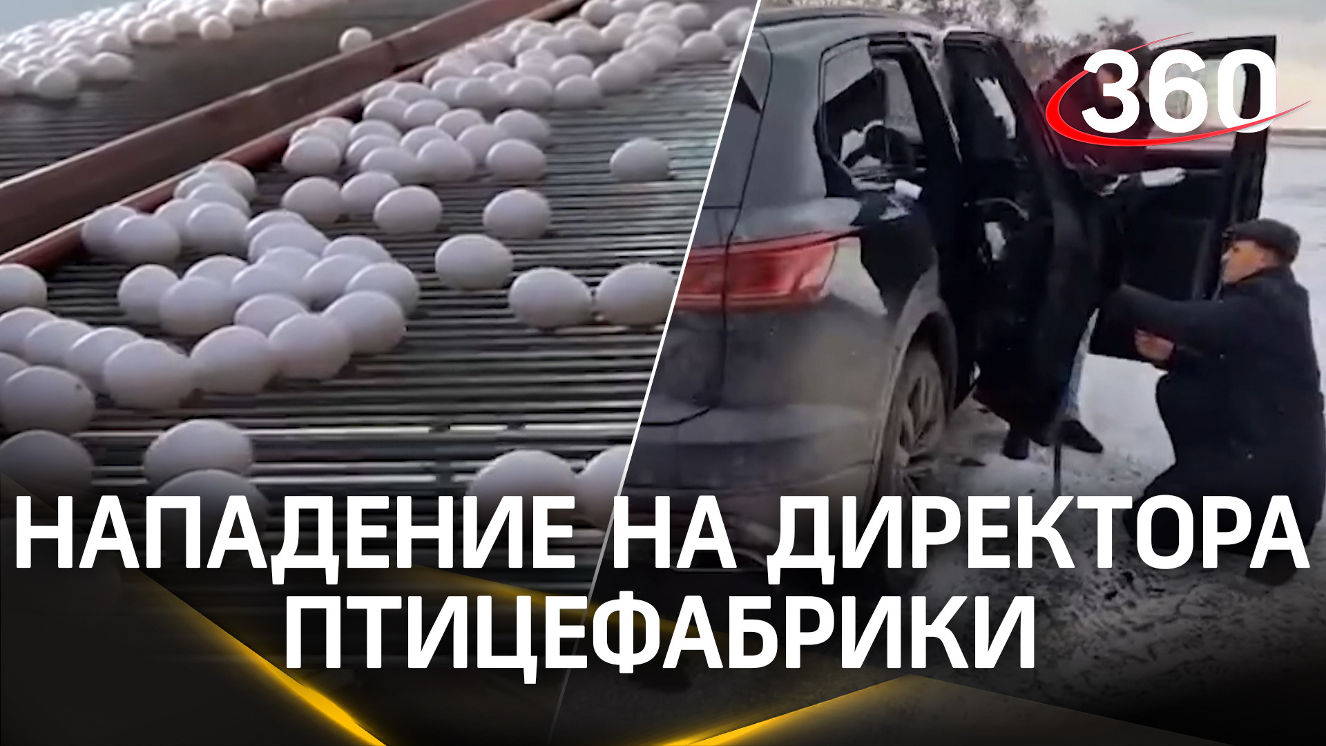Покушение на яйца: зачем стреляли в директора одной из крупнейших птицефабрик