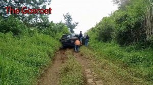 Nissan TERRA VS Nissan TERRANO