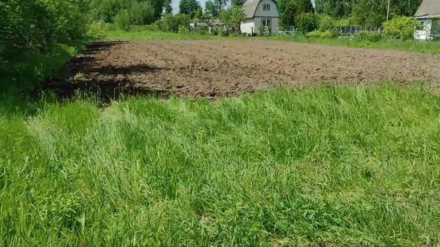 Культивация затопленных участков минитрактором Catmann XD-300