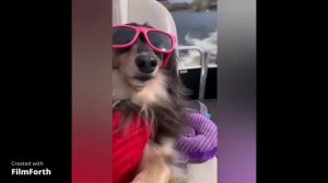 едим едим в соседнее село на дискотеку