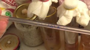 14. жидкий мицелий (выделил нормальный клеточный материал  с ферментами)