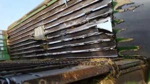 Работа в мираторге