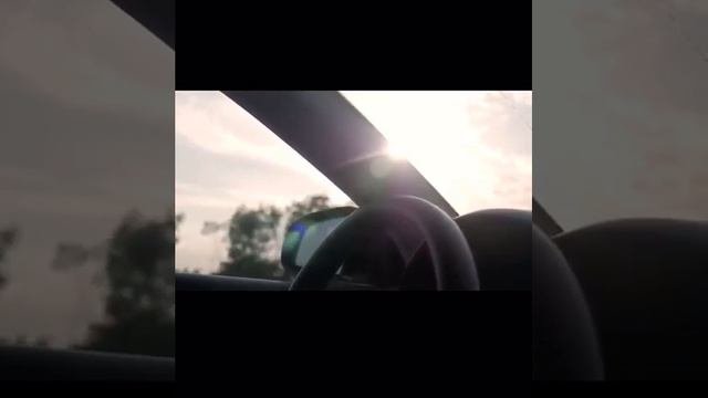 История бездомного