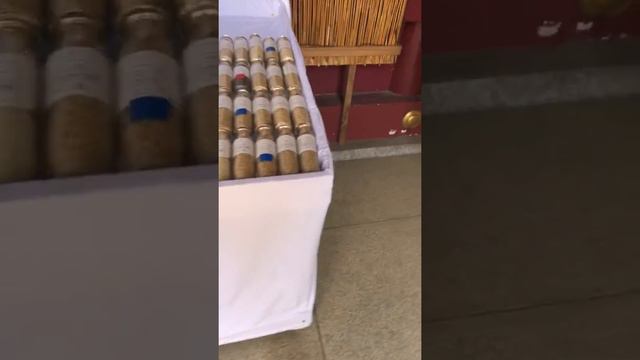 Chrysanthemum Festival смотреть онлайн