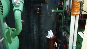 Обзор Рефотделения БМРТ Павел Батов