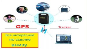 Gps маяк для животных