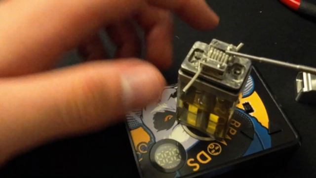 Stubby X-Ray - Full Review EN