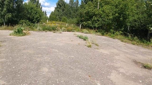 ВЛОГ. РАБОЧИЕ БУДНИ. ПРОВАЛ НА СТАДИОНЕ. КОШЕЧКИ-СОБАЧКИ смотреть онлайн