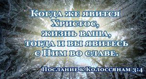 Вас заметили. Почему? Вопрос: "Как поживаете?" Ответ: -  Замечательно!  Когда мы дети Бога-Отца!