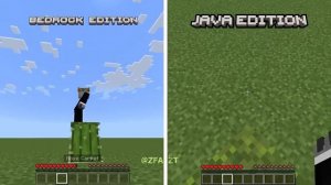 Java vs Bedrock