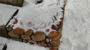 Клумба из камней. Не вымерзают ли в ней розы?