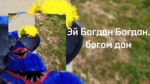 Эй Богдан Богдан, богом дан ( песня из TT )