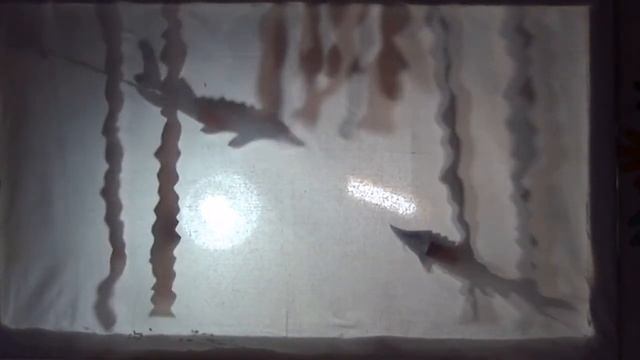 Центр «Дружба», экологическая сказка о бедной Волге (3 место) смотреть онлайн