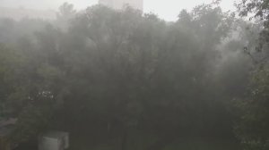 Дмитрий TV. Клип "Плот". На песню Юрия Лозы "Плот".